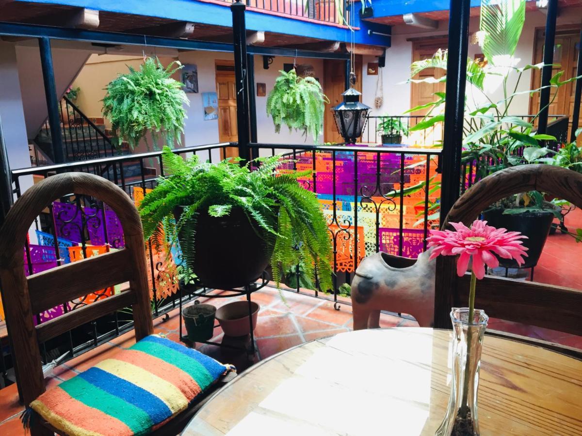 Hotel Cazomalli Oaxaca Ngoại thất bức ảnh