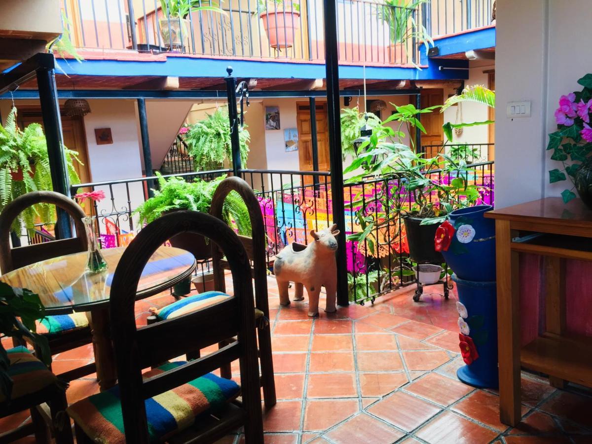 Hotel Cazomalli Oaxaca Ngoại thất bức ảnh