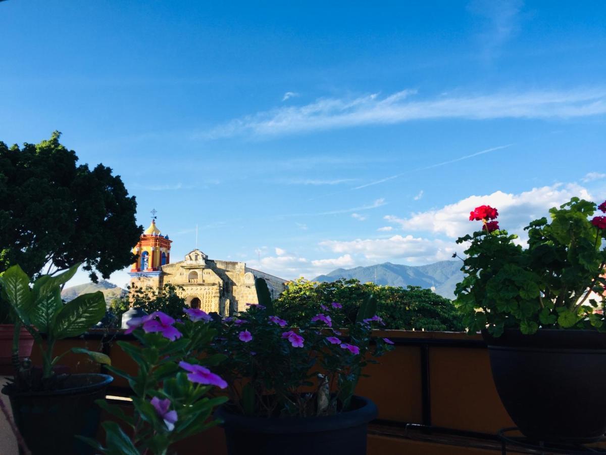 Hotel Cazomalli Oaxaca Ngoại thất bức ảnh