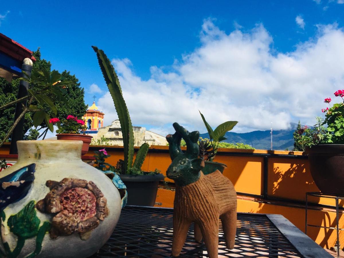 Hotel Cazomalli Oaxaca Ngoại thất bức ảnh
