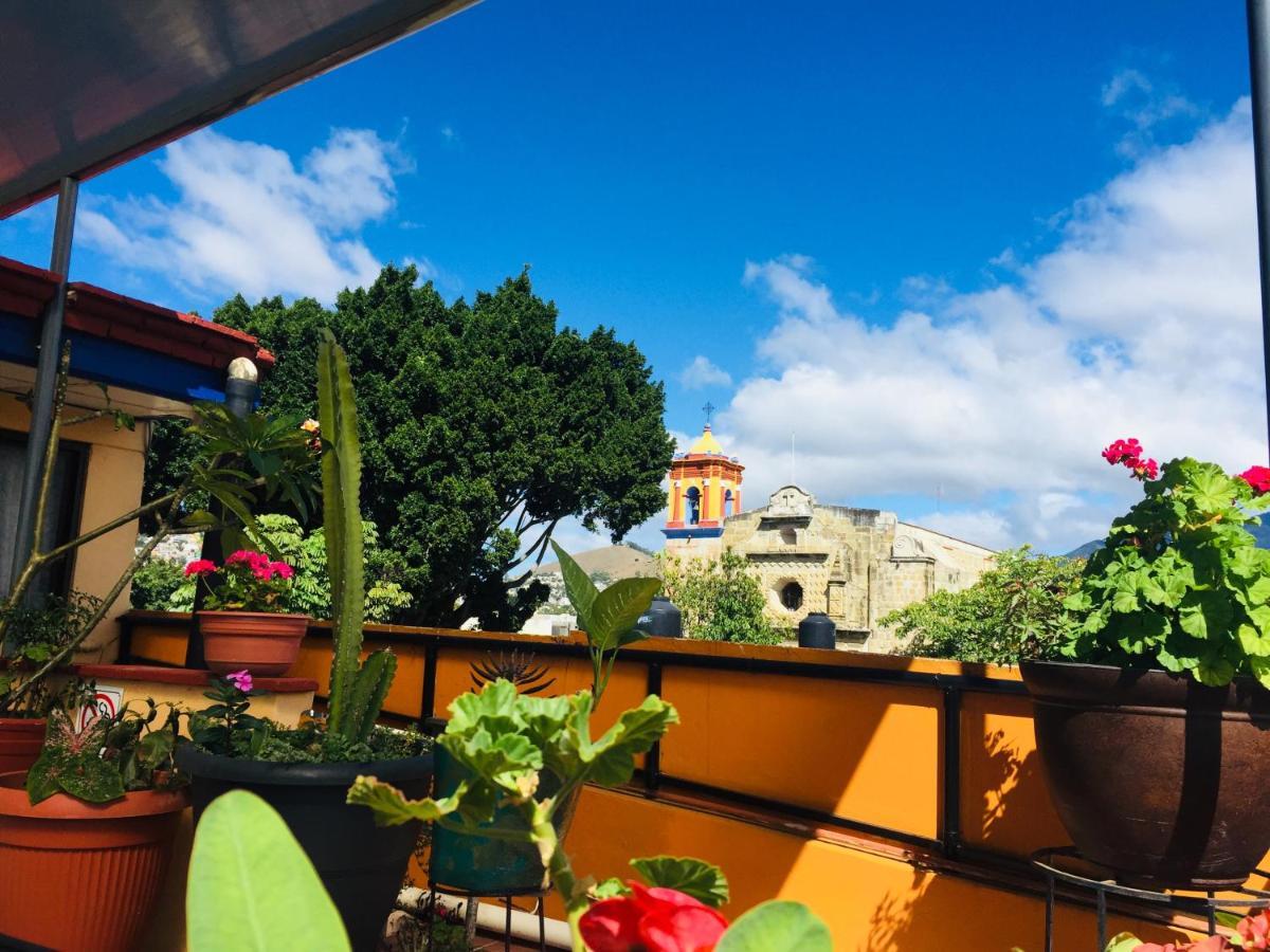 Hotel Cazomalli Oaxaca Ngoại thất bức ảnh