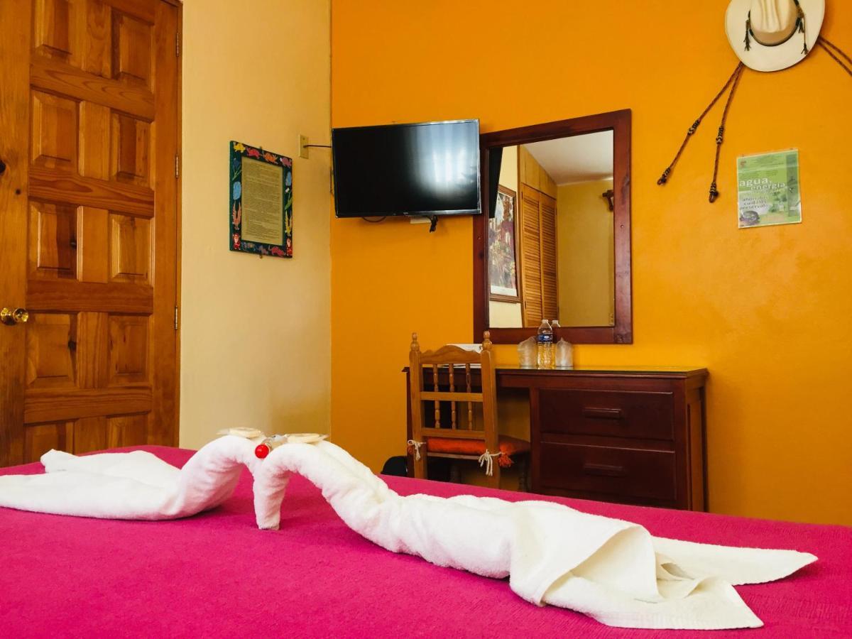 Hotel Cazomalli Oaxaca Ngoại thất bức ảnh