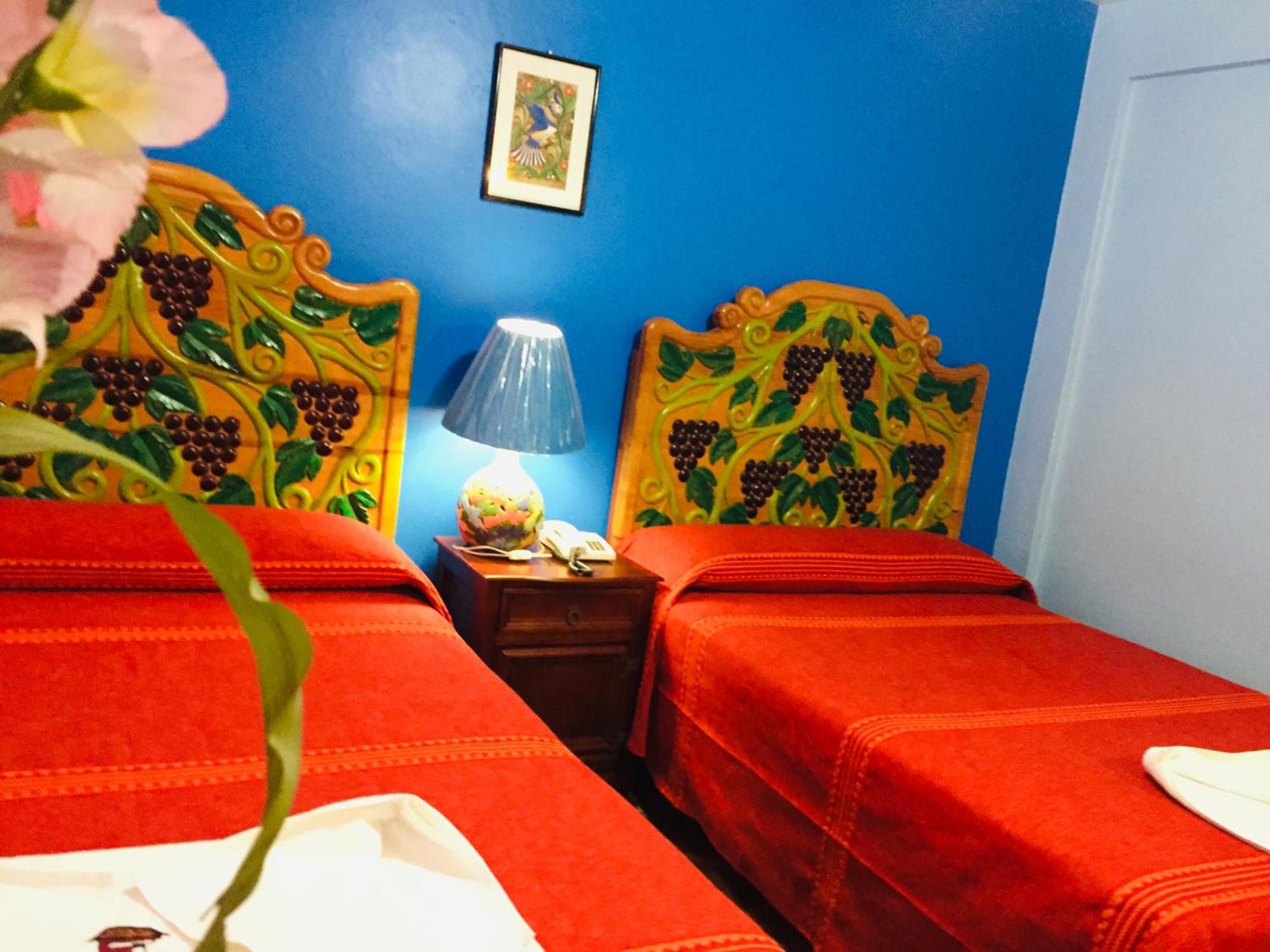 Hotel Cazomalli Oaxaca Ngoại thất bức ảnh